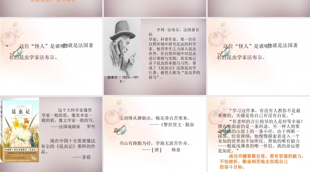 六年级语文上册《昆虫迷》课件2 语文A版-语文A版小学六年级上册语文课件