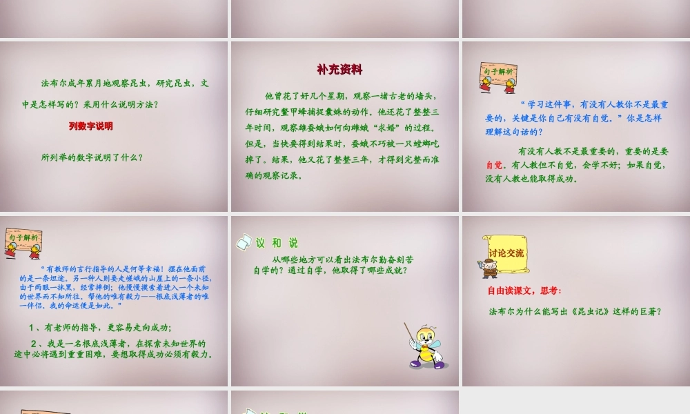 六年级语文上册《昆虫迷》课件4 语文A版-语文A版小学六年级上册语文课件