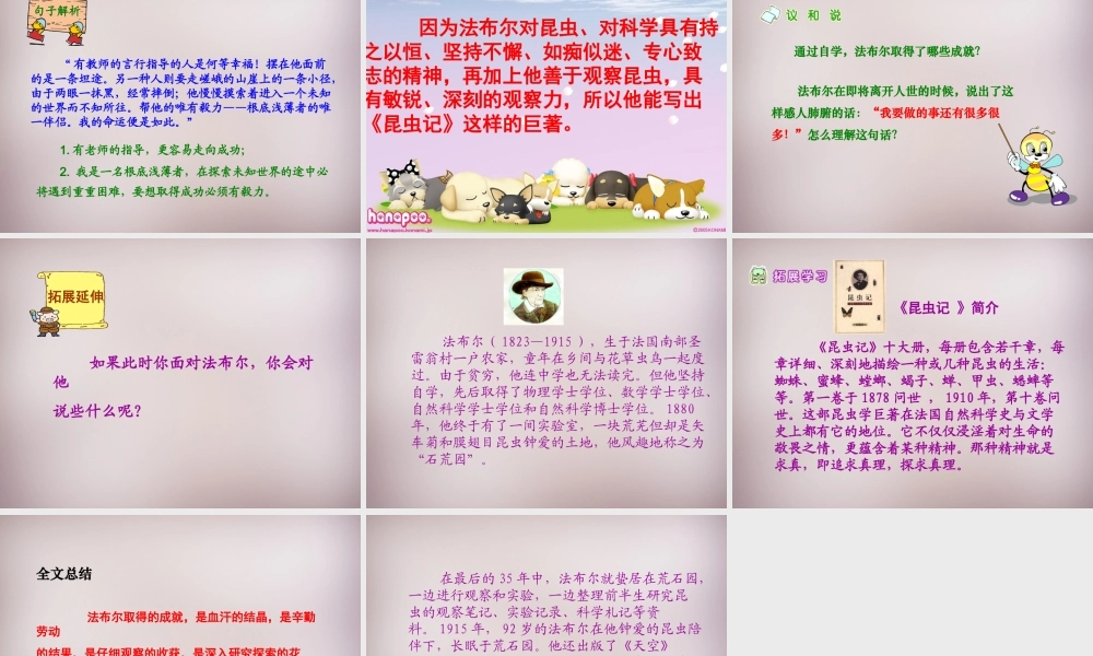 六年级语文上册《昆虫迷》课件5 语文A版-语文A版小学六年级上册语文课件