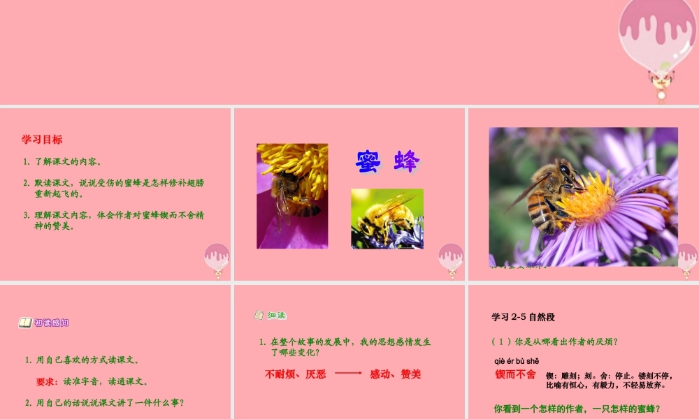 六年级语文上册 第四单元 蜜蜂课件1 湘教版-湘教版小学六年级上册语文课件