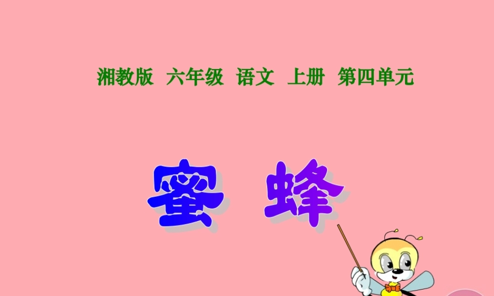 六年级语文上册 第四单元 蜜蜂课件2 湘教版-湘教版小学六年级上册语文课件