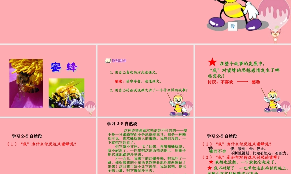 六年级语文上册 第四单元 蜜蜂课件2 湘教版-湘教版小学六年级上册语文课件