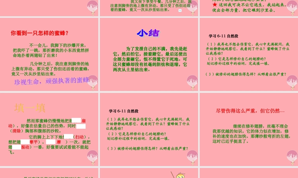 六年级语文上册 第四单元 蜜蜂课件2 湘教版-湘教版小学六年级上册语文课件