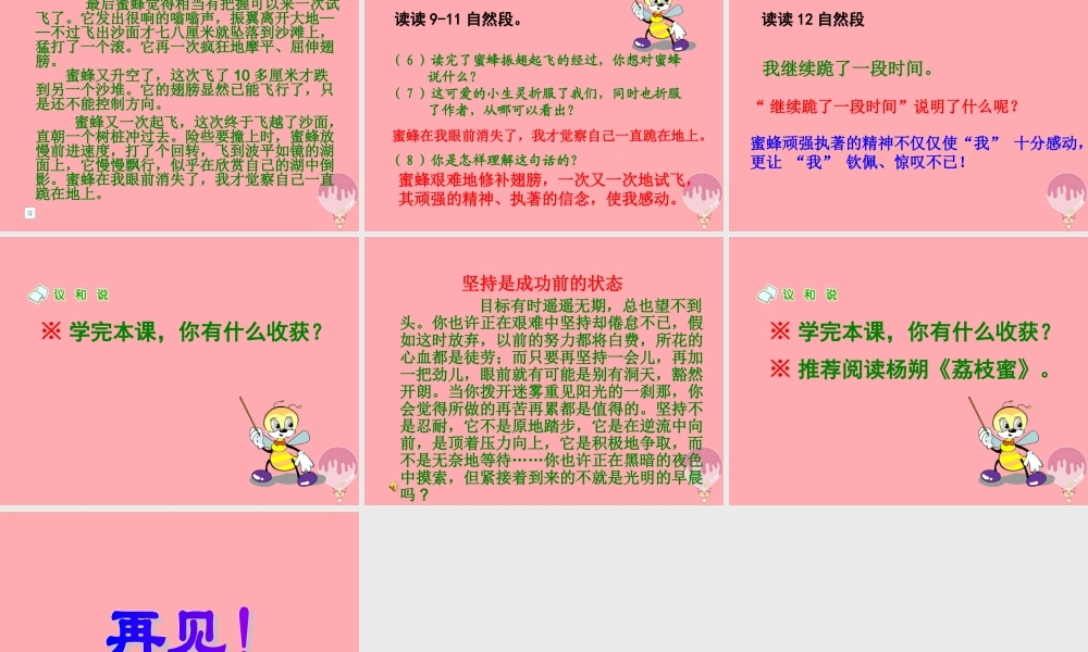 六年级语文上册 第四单元 蜜蜂课件2 湘教版-湘教版小学六年级上册语文课件