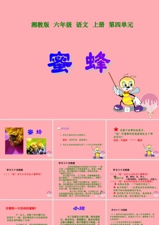 六年级语文上册 第四单元 蜜蜂课件2 湘教版-湘教版小学六年级上册语文课件