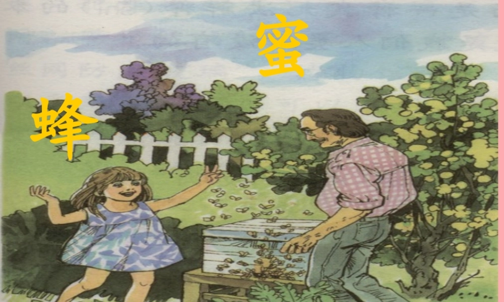 六年级语文上册 第四单元 蜜蜂课件3 湘教版-湘教版小学六年级上册语文课件