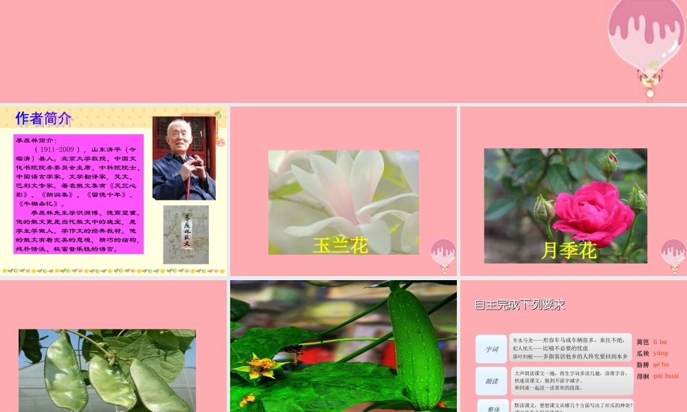 六年级语文上册 第四单元 神奇的丝瓜课件1 湘教版-湘教版小学六年级上册语文课件