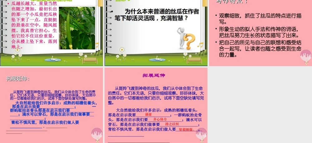 六年级语文上册 第四单元 神奇的丝瓜课件1 湘教版-湘教版小学六年级上册语文课件