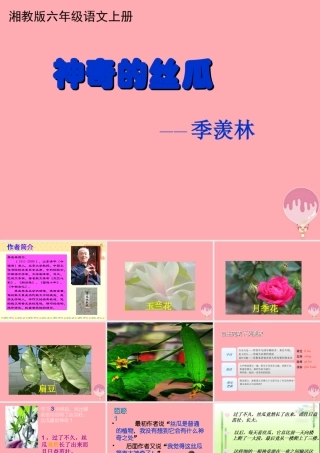 六年级语文上册 第四单元 神奇的丝瓜课件1 湘教版-湘教版小学六年级上册语文课件
