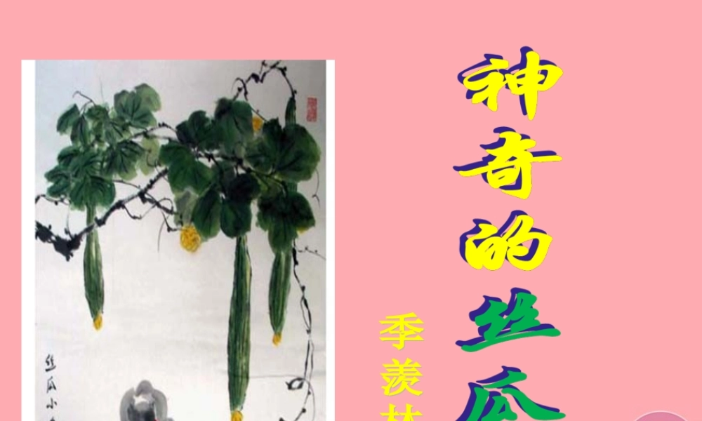 六年级语文上册 第四单元 神奇的丝瓜课件2 湘教版-湘教版小学六年级上册语文课件