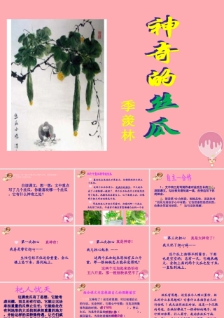 六年级语文上册 第四单元 神奇的丝瓜课件2 湘教版-湘教版小学六年级上册语文课件