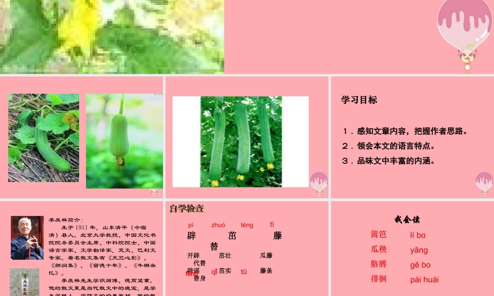 六年级语文上册 第四单元 神奇的丝瓜课件3 湘教版-湘教版小学六年级上册语文课件