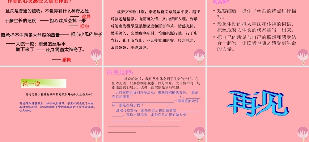 六年级语文上册 第四单元 神奇的丝瓜课件3 湘教版-湘教版小学六年级上册语文课件