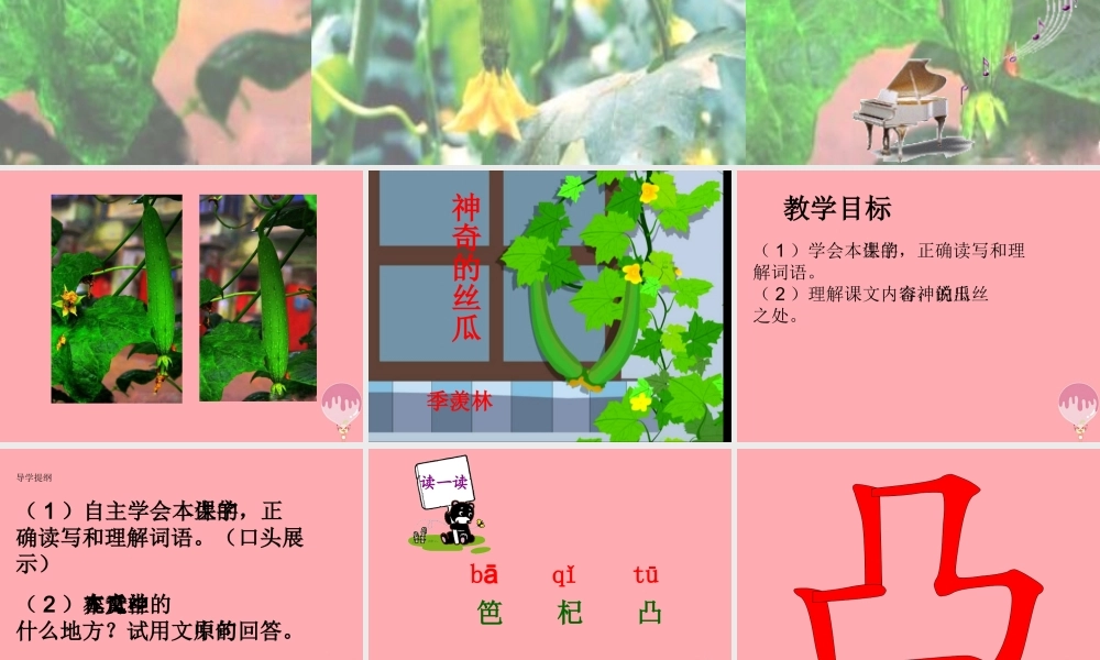 六年级语文上册 第四单元 神奇的丝瓜课件4 湘教版-湘教版小学六年级上册语文课件