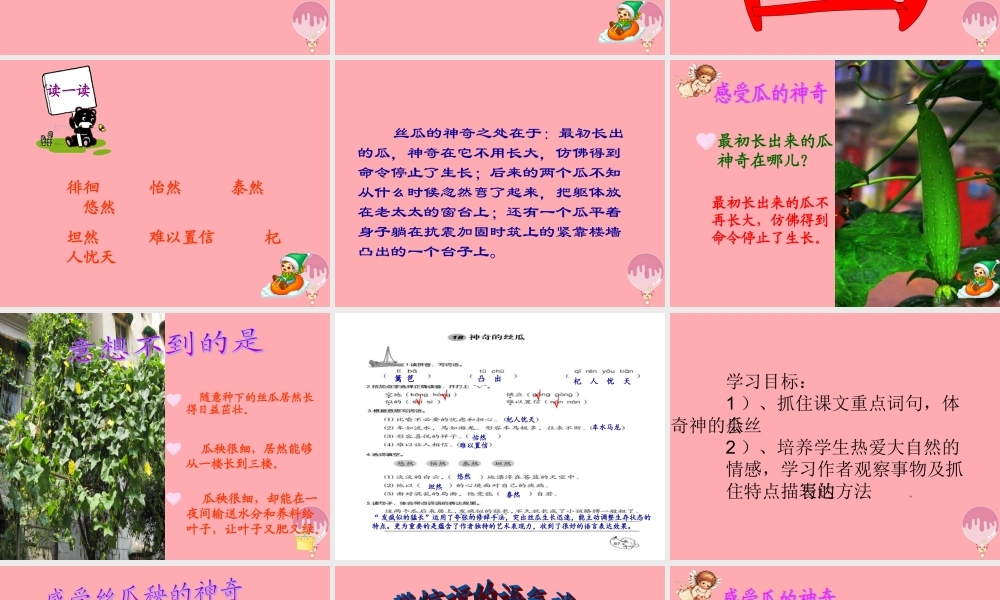 六年级语文上册 第四单元 神奇的丝瓜课件4 湘教版-湘教版小学六年级上册语文课件