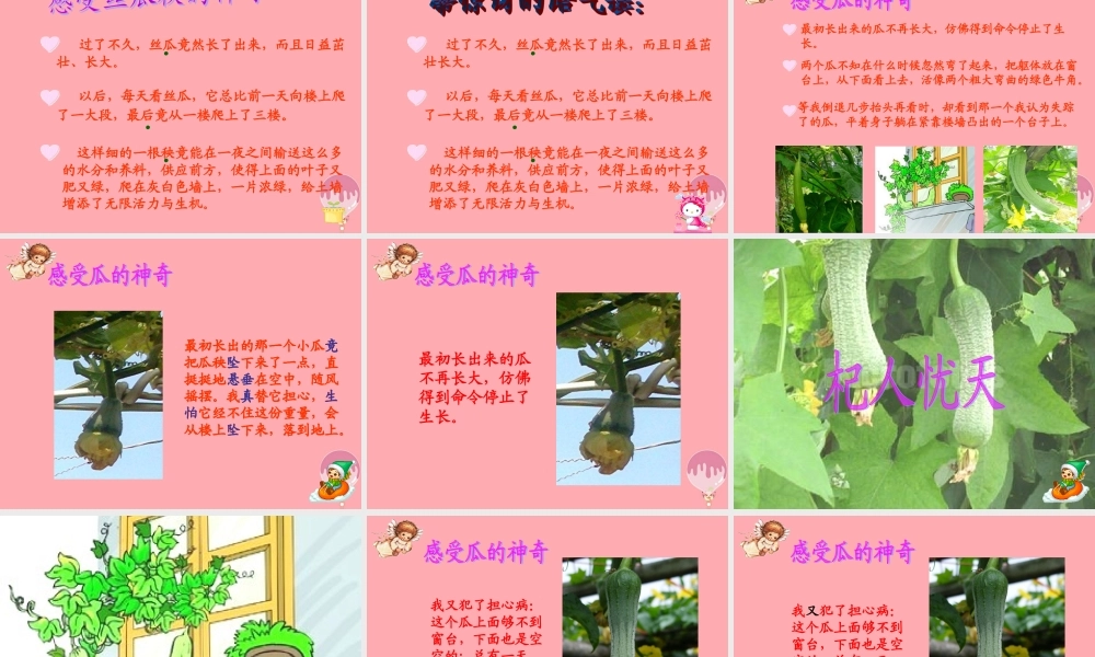 六年级语文上册 第四单元 神奇的丝瓜课件4 湘教版-湘教版小学六年级上册语文课件