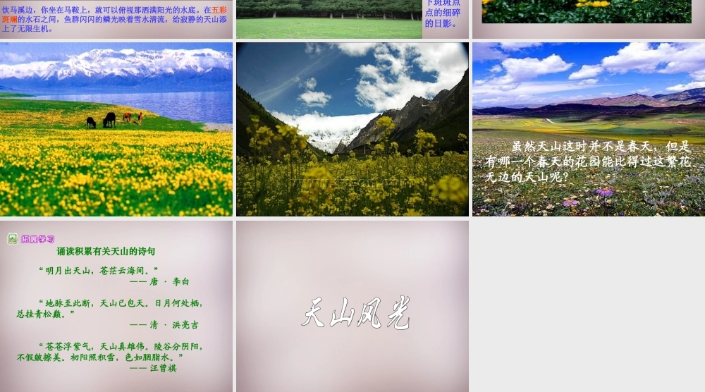 六年级语文上册《骑马上天山》课件4 语文A版-语文A版小学六年级上册语文课件