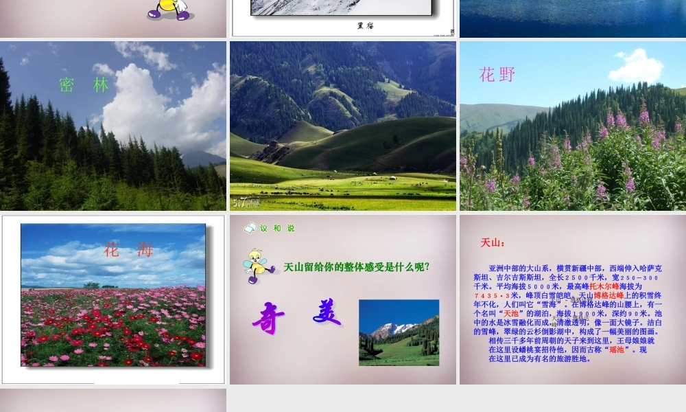 六年级语文上册《骑马上天山》课件5 语文A版-语文A版小学六年级上册语文课件