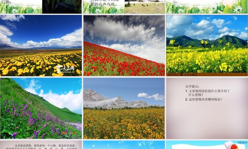 六年级语文上册《骑马上天山》课件6 语文A版-语文A版小学六年级上册语文课件