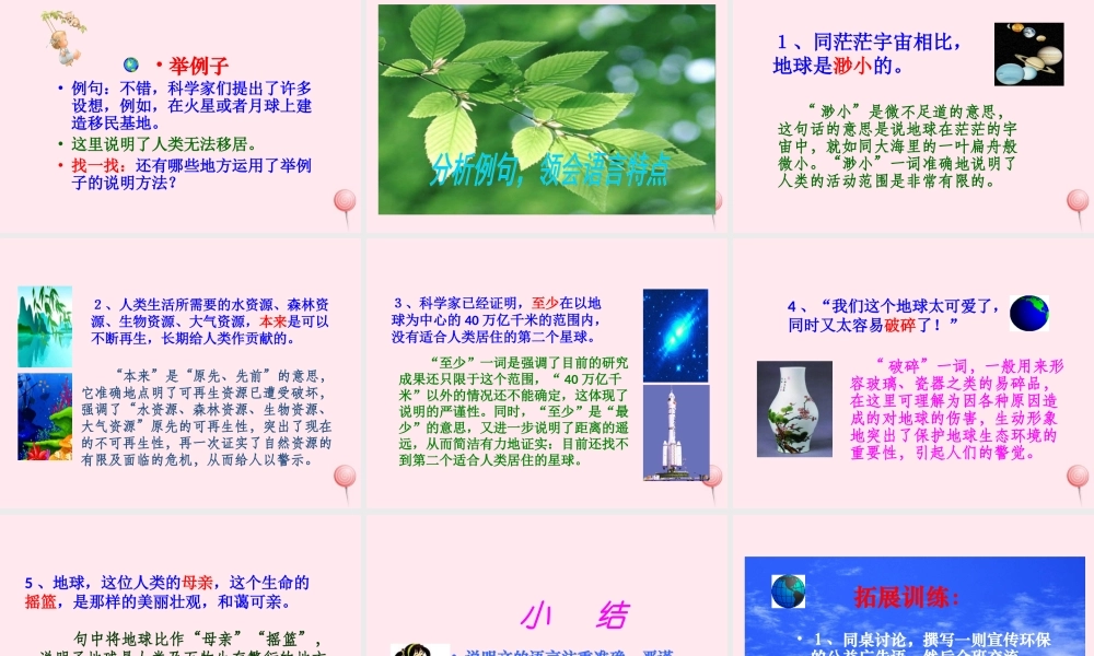 六年级语文上册 第四组 13 只有一个地球课件1 新人教版-新人教版小学六年级上册语文课件