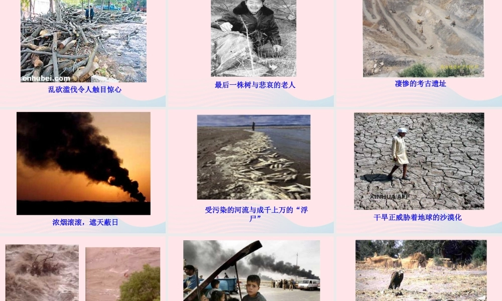 六年级语文上册 第四组 13 只有一个地球课件4 新人教版-新人教版小学六年级上册语文课件