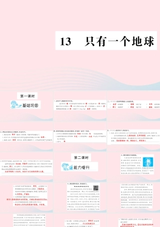 六年级语文上册 第四组 13 只有一个地球习题课件 新人教版-新人教版小学六年级上册语文课件