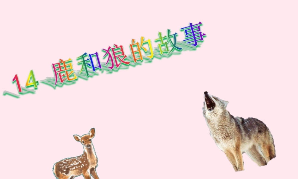六年级语文上册 第四组 14 鹿和狼的故事课件1 新人教版-新人教版小学六年级上册语文课件