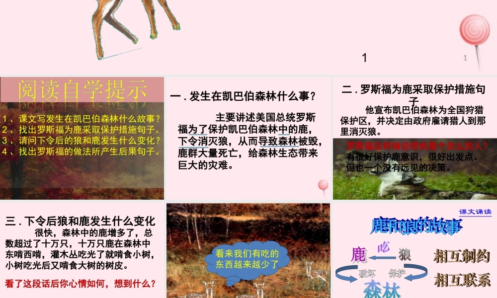 六年级语文上册 第四组 14 鹿和狼的故事课件1 新人教版-新人教版小学六年级上册语文课件
