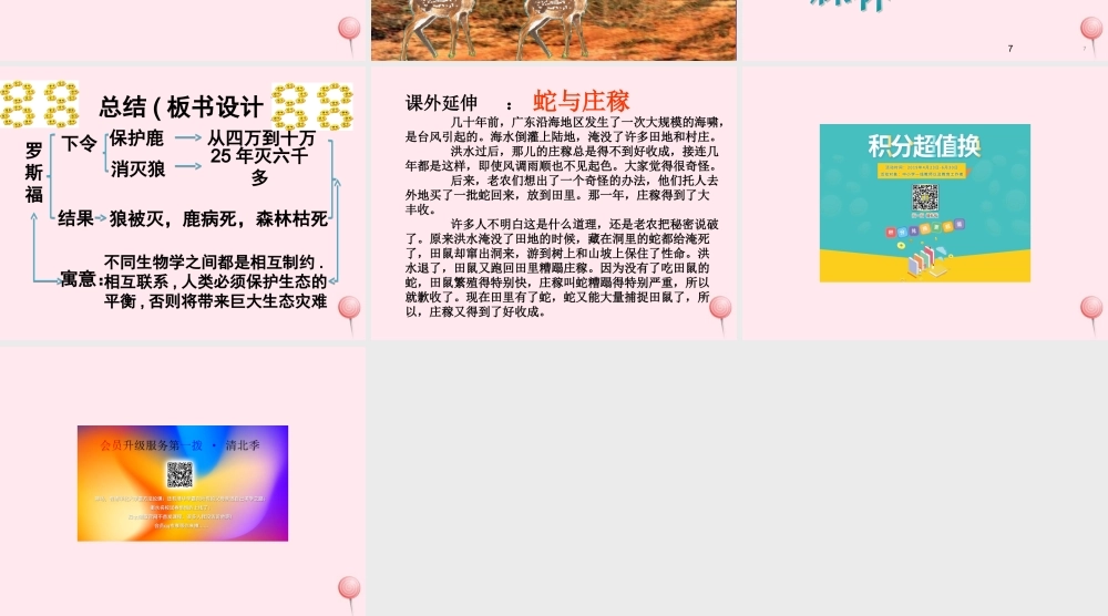 六年级语文上册 第四组 14 鹿和狼的故事课件1 新人教版-新人教版小学六年级上册语文课件