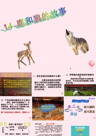 六年级语文上册 第四组 14 鹿和狼的故事课件1 新人教版-新人教版小学六年级上册语文课件