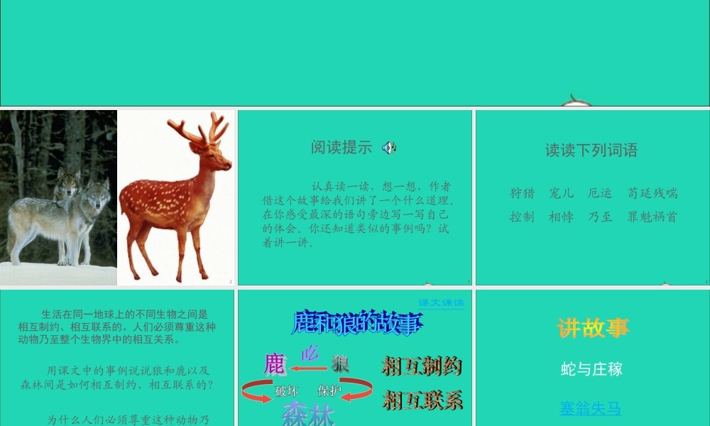 六年级语文上册 第四组 14 鹿和狼的故事课件2 新人教版-新人教版小学六年级上册语文课件