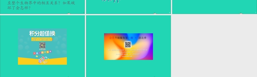 六年级语文上册 第四组 14 鹿和狼的故事课件2 新人教版-新人教版小学六年级上册语文课件