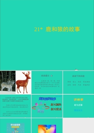 六年级语文上册 第四组 14 鹿和狼的故事课件2 新人教版-新人教版小学六年级上册语文课件