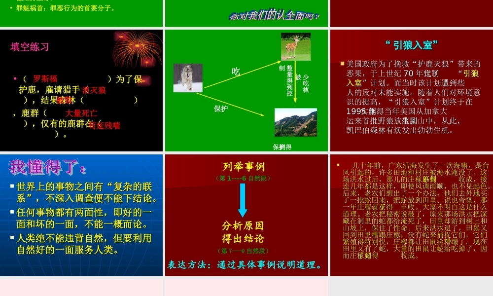 六年级语文上册 第四组 14 鹿和狼的故事课件3 新人教版-新人教版小学六年级上册语文课件