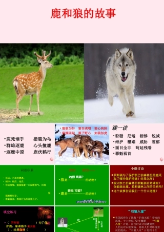 六年级语文上册 第四组 14 鹿和狼的故事课件3 新人教版-新人教版小学六年级上册语文课件
