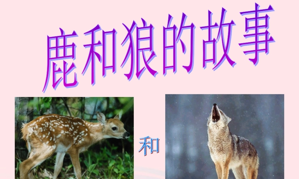 六年级语文上册 第四组 14鹿和狼的故事课堂教学课件1 新人教版-新人教版小学六年级上册语文课件