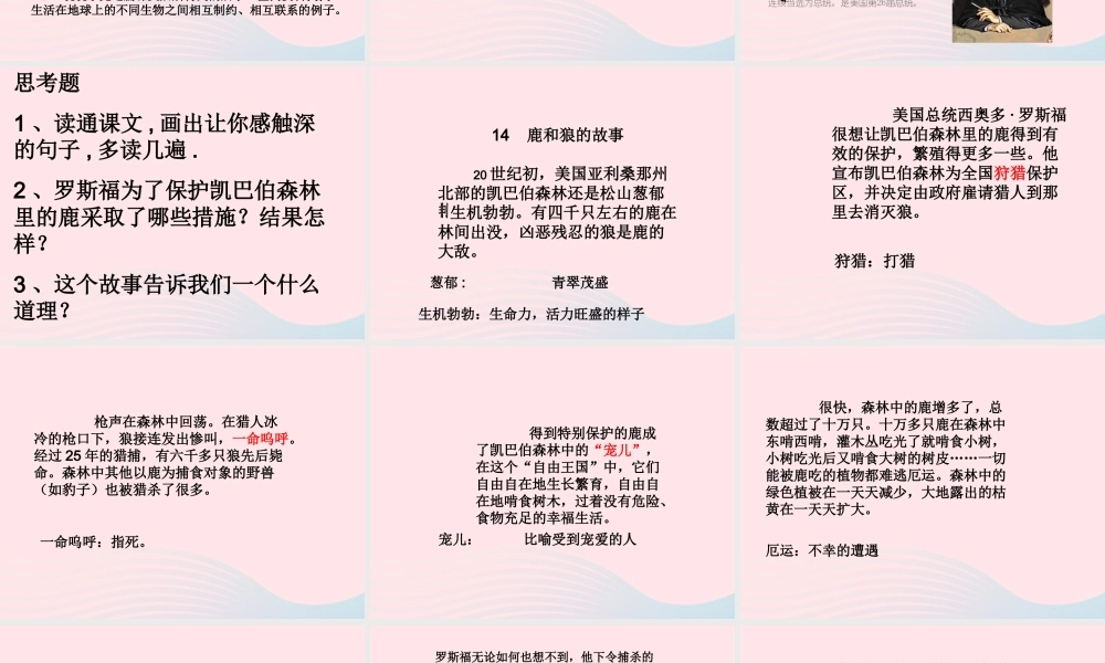 六年级语文上册 第四组 14鹿和狼的故事课堂教学课件1 新人教版-新人教版小学六年级上册语文课件