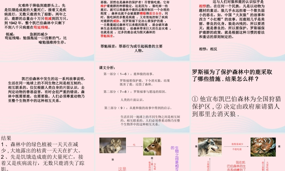 六年级语文上册 第四组 14鹿和狼的故事课堂教学课件1 新人教版-新人教版小学六年级上册语文课件