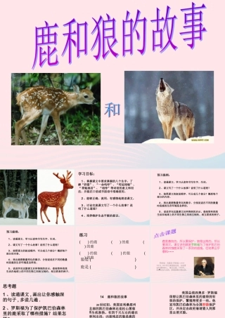 六年级语文上册 第四组 14鹿和狼的故事课堂教学课件1 新人教版-新人教版小学六年级上册语文课件