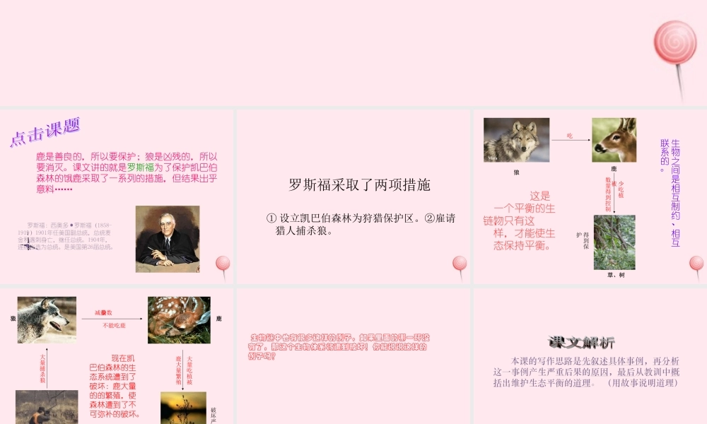 六年级语文上册 第四组 14鹿和狼的故事课堂教学课件2 新人教版-新人教版小学六年级上册语文课件