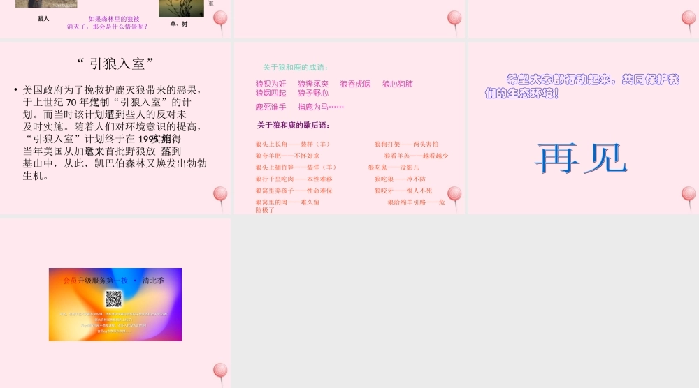 六年级语文上册 第四组 14鹿和狼的故事课堂教学课件2 新人教版-新人教版小学六年级上册语文课件
