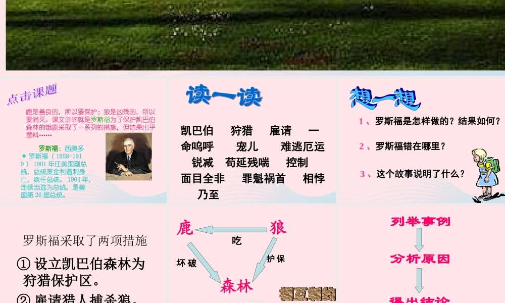 六年级语文上册 第四组 14鹿和狼的故事课堂教学课件3 新人教版-新人教版小学六年级上册语文课件