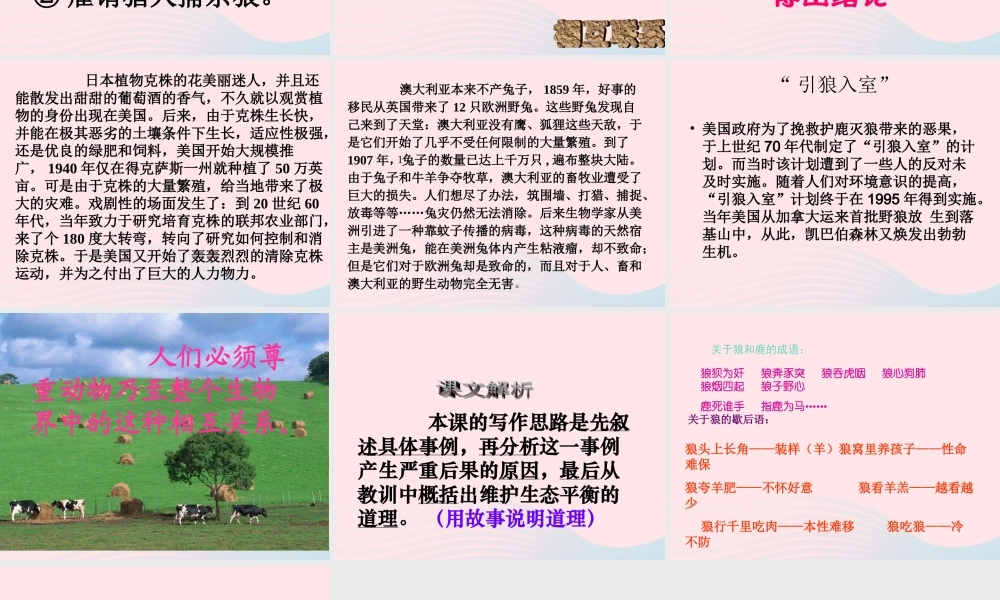 六年级语文上册 第四组 14鹿和狼的故事课堂教学课件3 新人教版-新人教版小学六年级上册语文课件