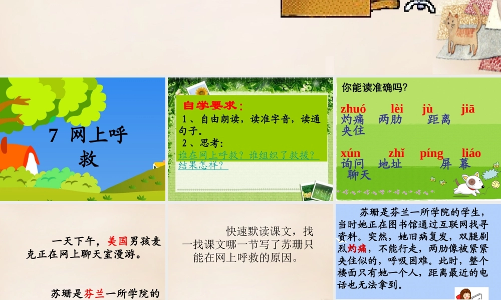 六年级语文上册《网上呼救》课件5 长春版-长春版小学六年级上册语文课件