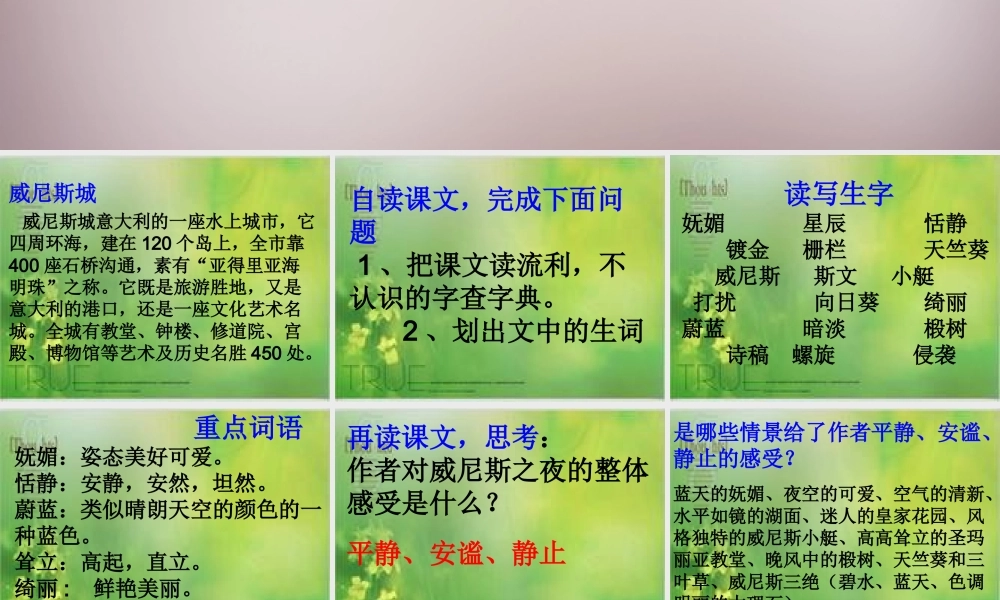 六年级语文上册《威尼斯之夜》课件2 语文A版-语文A版小学六年级上册语文课件