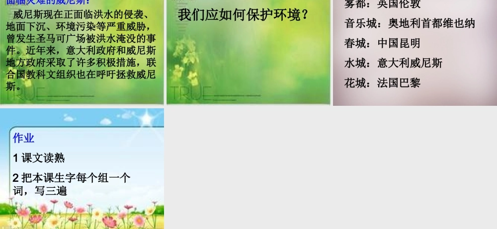 六年级语文上册《威尼斯之夜》课件2 语文A版-语文A版小学六年级上册语文课件