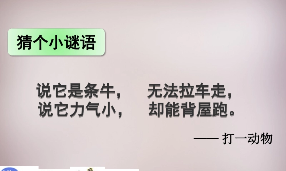 六年级语文上册《蜗牛慢条斯理的生活》课件1 语文A版-语文A版小学六年级上册语文课件