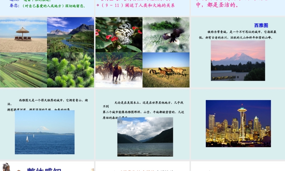 六年级语文上册 第四组 15这片土地是神圣的课堂教学课件3 新人教版-新人教版小学六年级上册语文课件