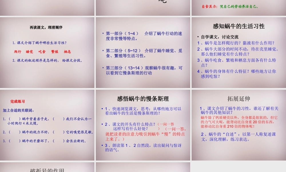 六年级语文上册《蜗牛慢条斯理的生活》课件3 语文A版-语文A版小学六年级上册语文课件