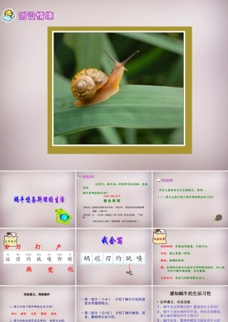 六年级语文上册《蜗牛慢条斯理的生活》课件3 语文A版-语文A版小学六年级上册语文课件